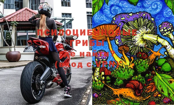 гидра Лабытнанги