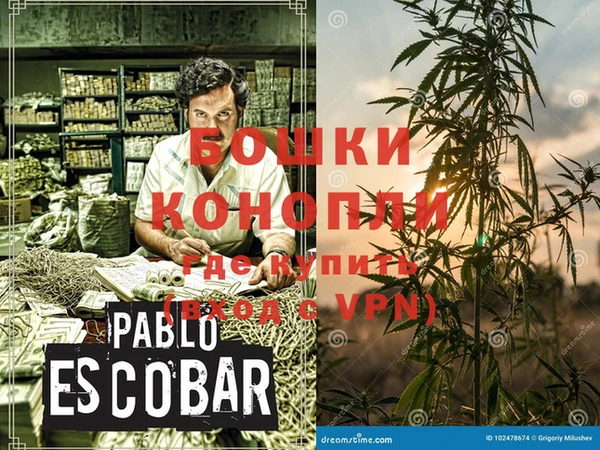 тгк Ладушкин