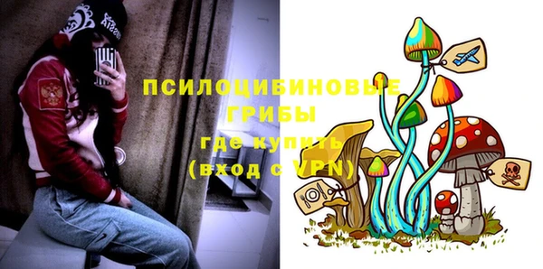 гидра Лабытнанги