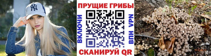 MEGA   Раменское  Псилоцибиновые грибы мухоморы  где можно купить  