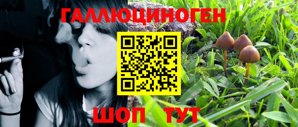 Псилоцибиновые грибы мицелий Раменское