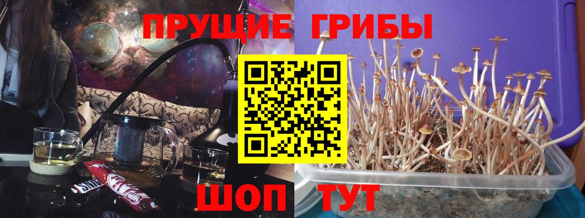 Псилоцибиновые грибы мицелий Раменское
