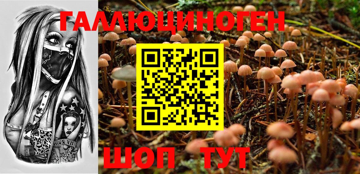 Раменское  Псилоцибиновые грибы GOLDEN TEACHER  Вход с VPN 